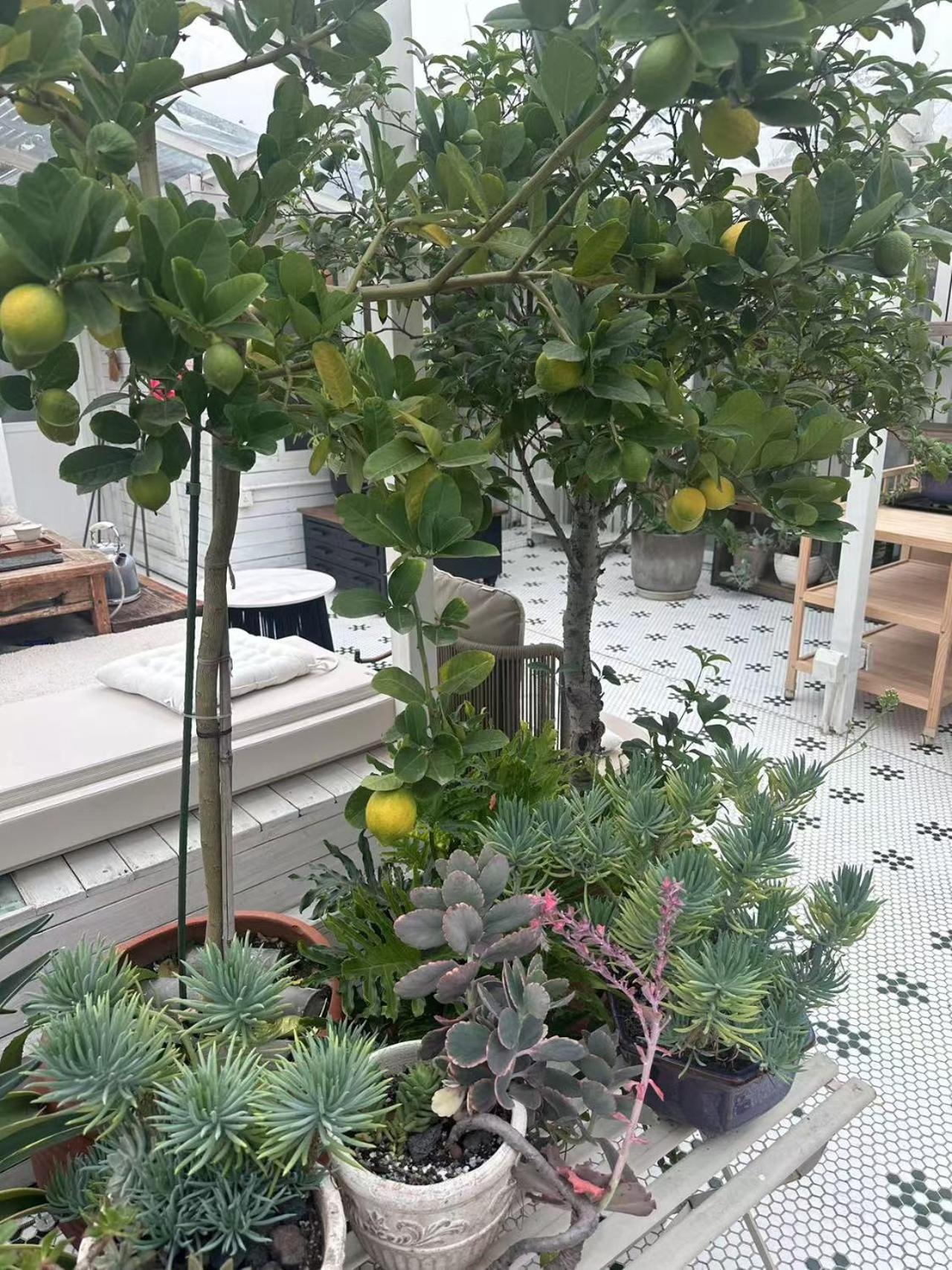 Peking Garden Boutique Hotel Εξωτερικό φωτογραφία
