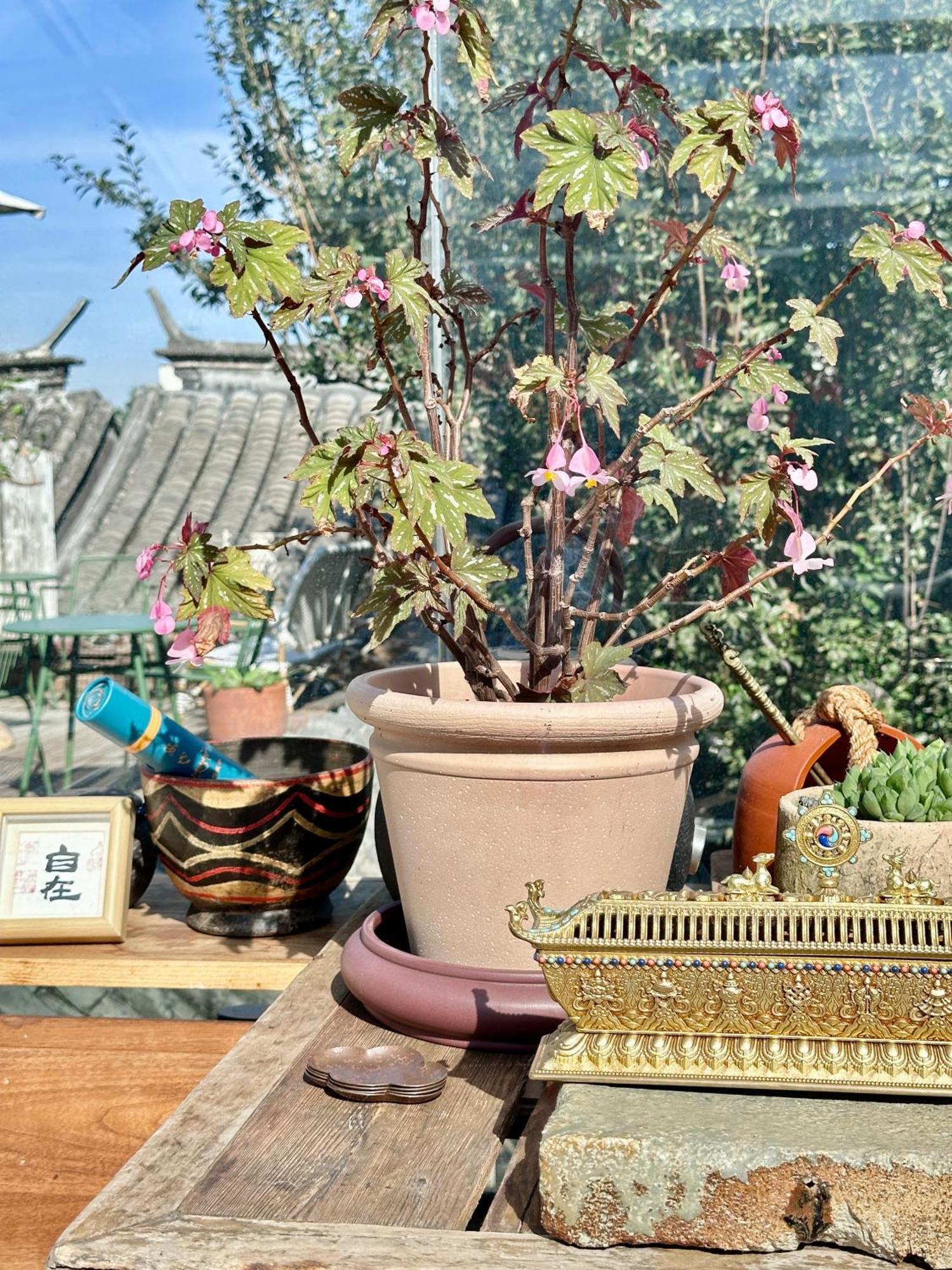 Peking Garden Boutique Hotel Εξωτερικό φωτογραφία