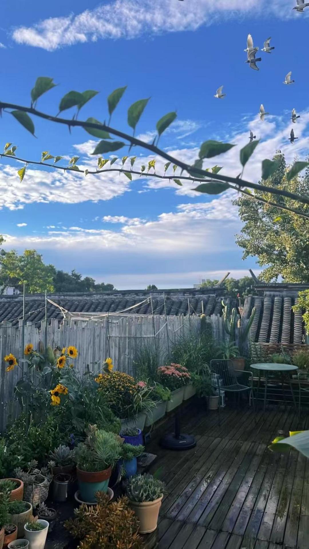 Peking Garden Boutique Hotel Εξωτερικό φωτογραφία