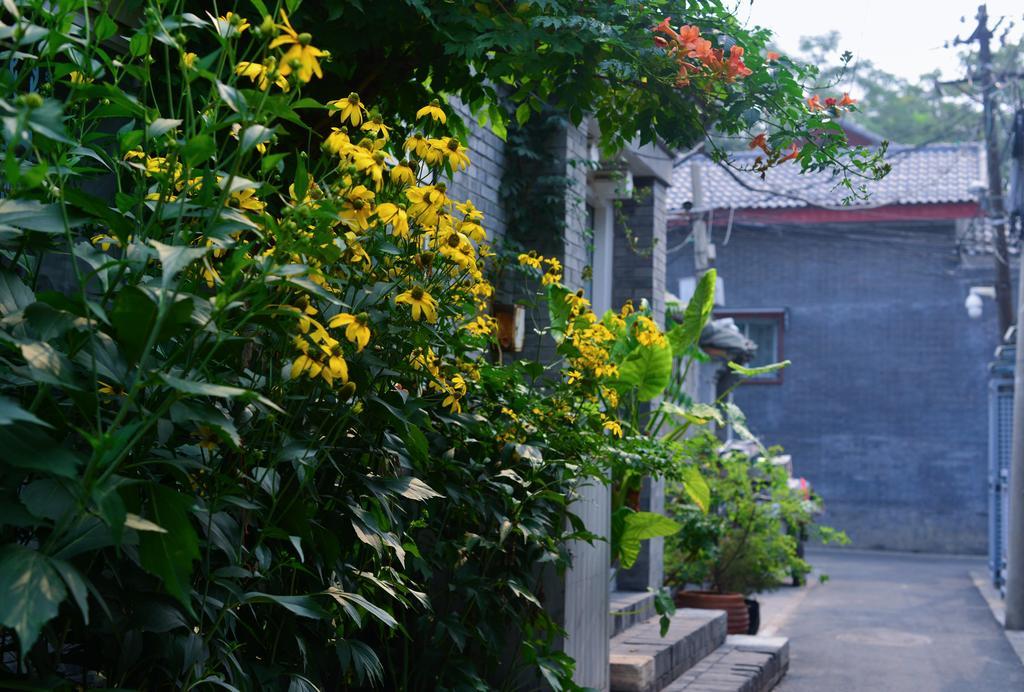 Peking Garden Boutique Hotel Εξωτερικό φωτογραφία