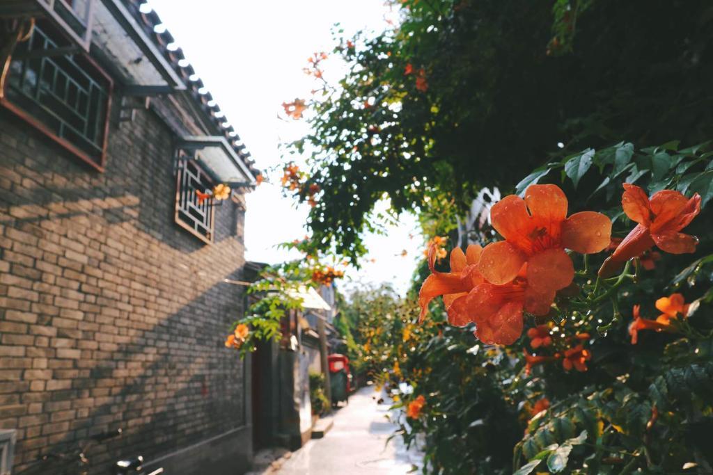 Peking Garden Boutique Hotel Εξωτερικό φωτογραφία