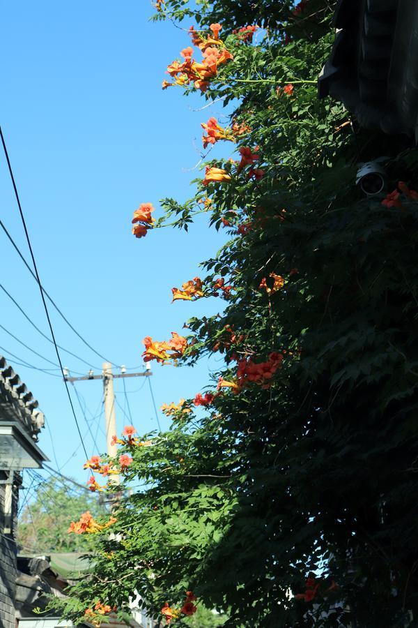 Peking Garden Boutique Hotel Εξωτερικό φωτογραφία